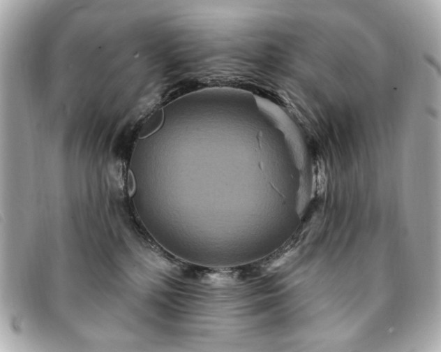 X0000094230232200710261302