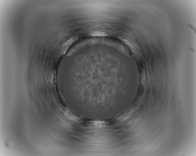 X0000094230233200710261302