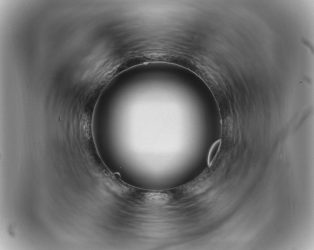 X0000094230234200710261302