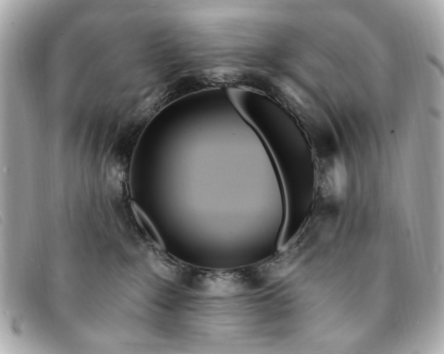 X0000094230235200710261302