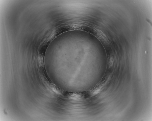 X0000094230236200710261302