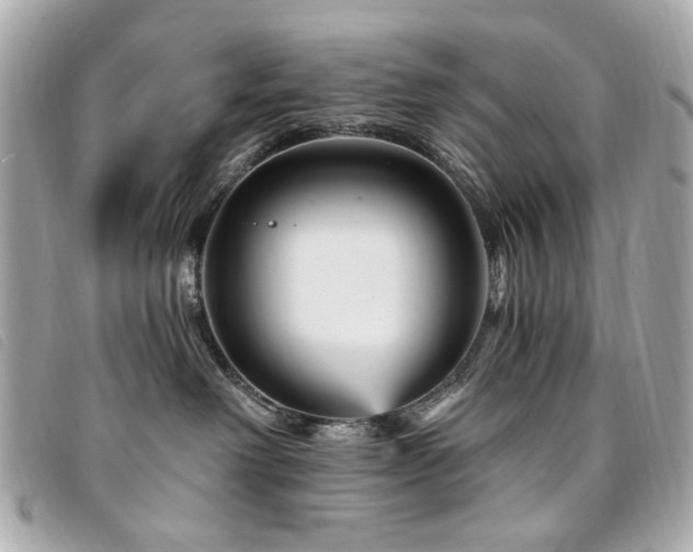 X0000094230238200710261302