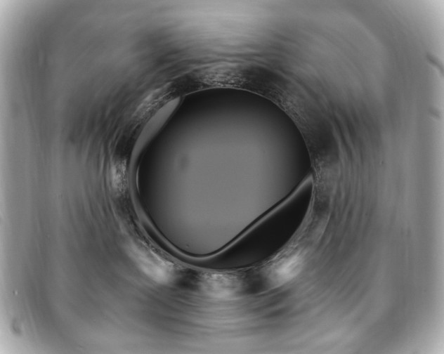 X0000094230239200710261302