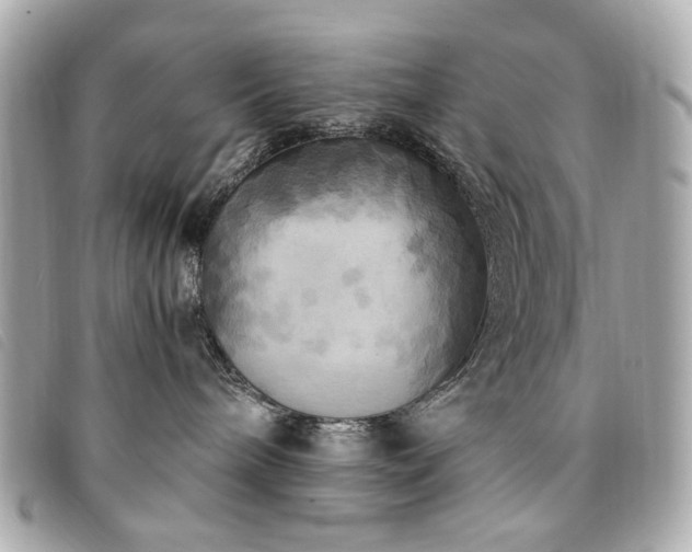 X0000094230240200710261302