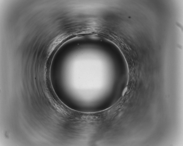 X0000094230242200710261301