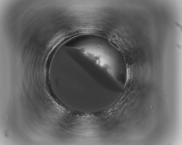 X0000094230243200710261301