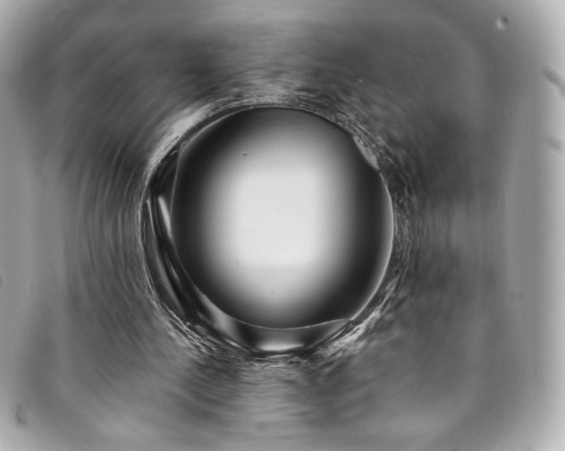 X0000094230244200710261301