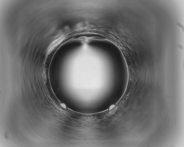 X0000094230245200710261301
