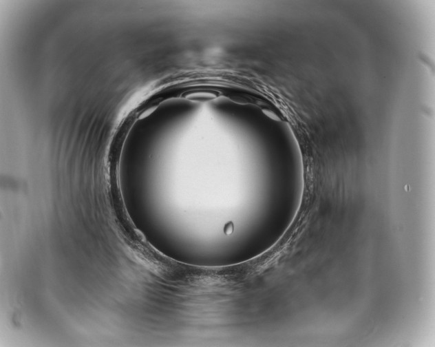 X0000094230246200710261301