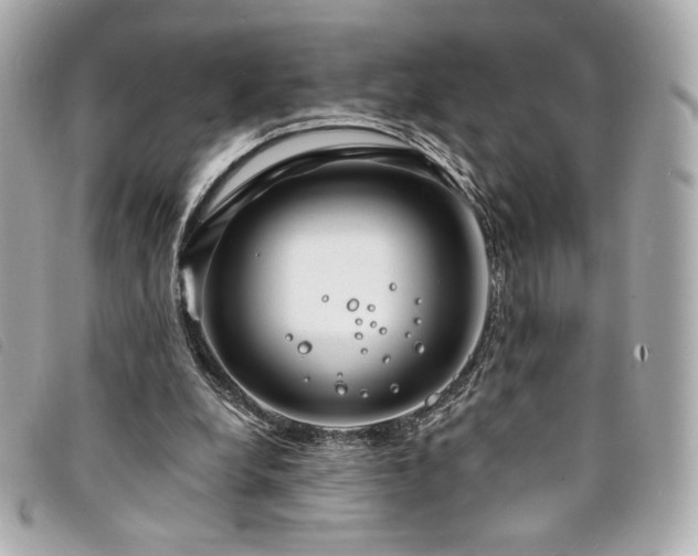 X0000094230248200710261301