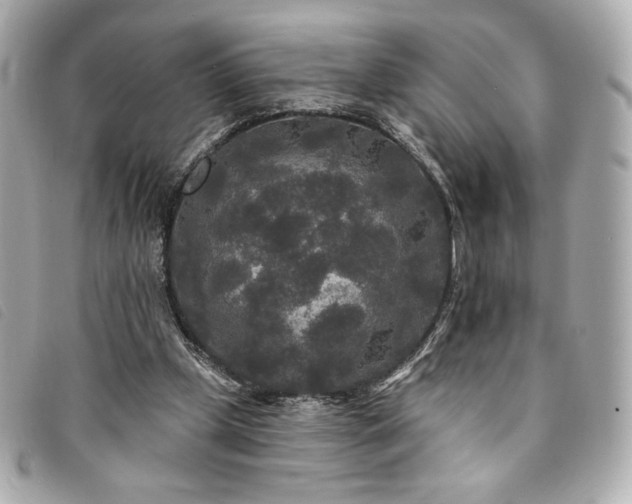 X0000094230249200710261301