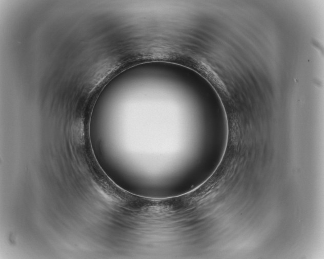 X0000094230251200710261301