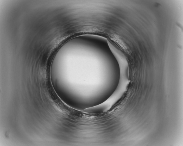 X0000094230252200710261301