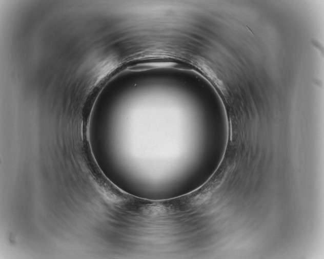 X0000094230253200710261301