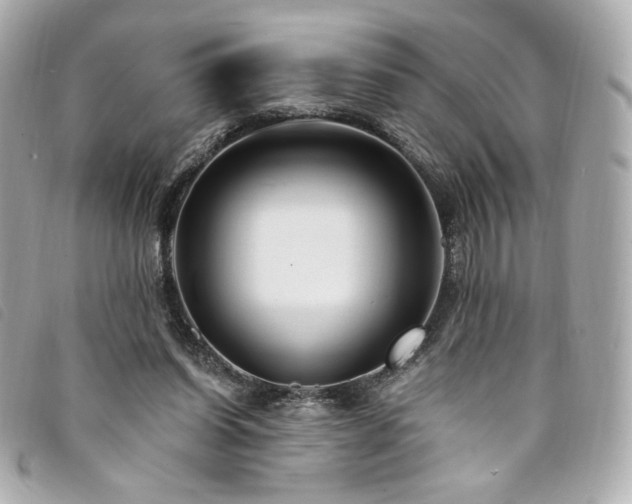 X0000094230254200710261301