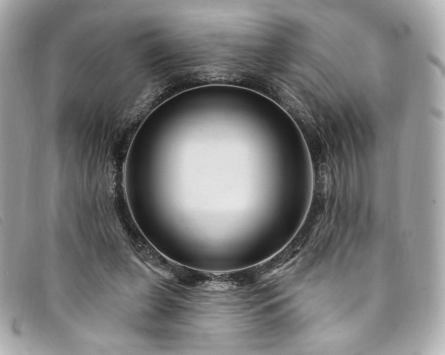 X0000094230255200710261301