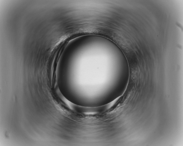 X0000094230256200710261301