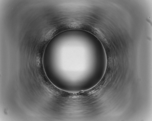 X0000094230259200710261302