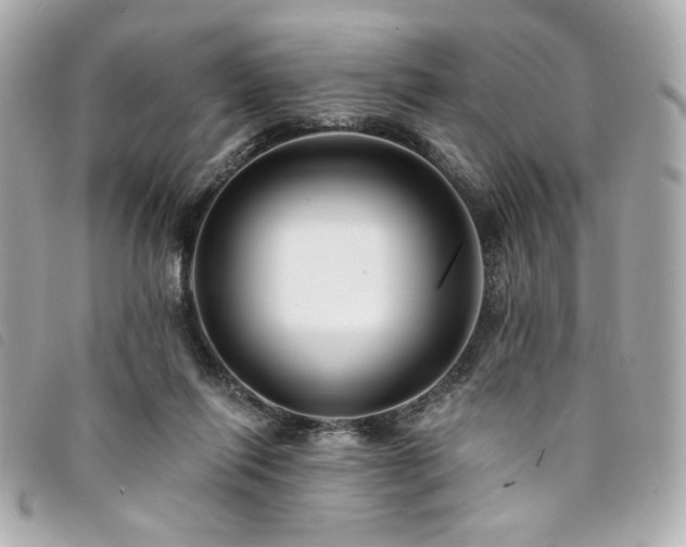 X0000094230262200710261302