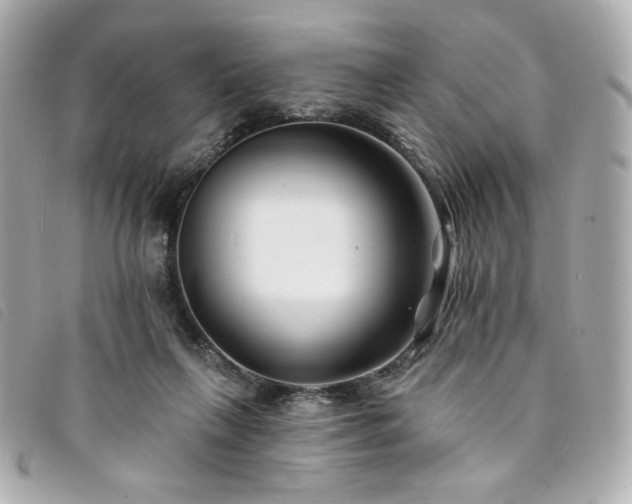 X0000094230263200710261302