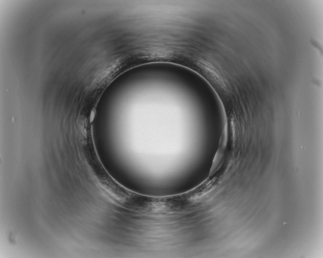 X0000094230264200710261302