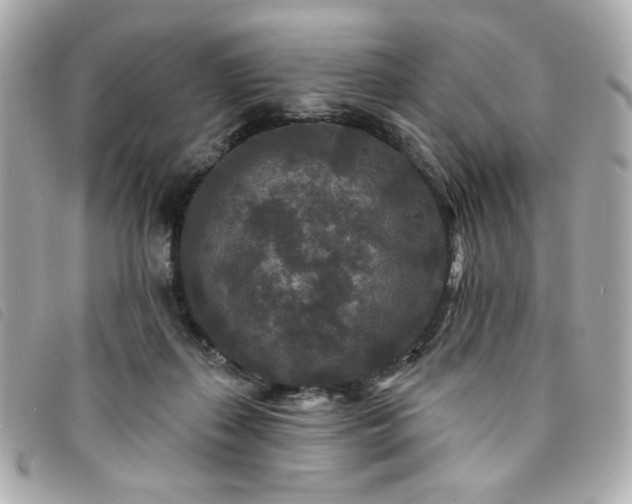 X0000094230267200710261302