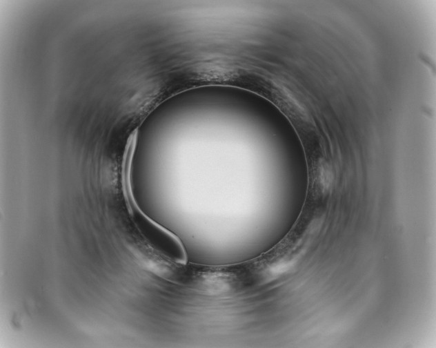 X0000094230268200710261302