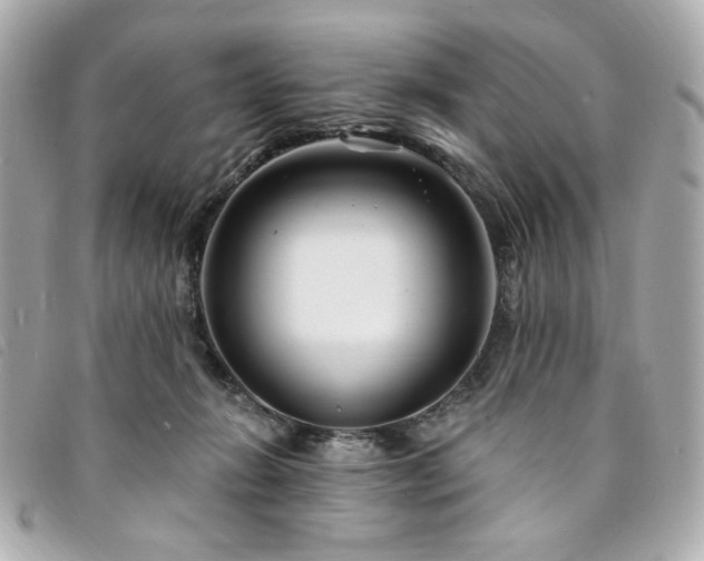 X0000094230270200710261302