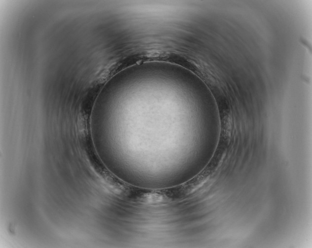 X0000094230272200710261302