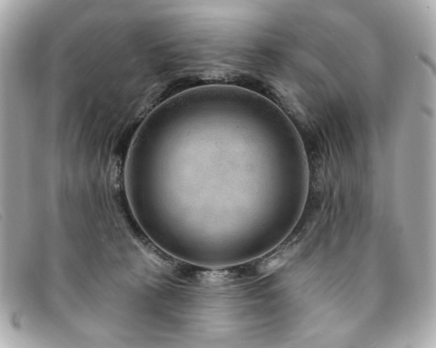 X0000094230273200710261302