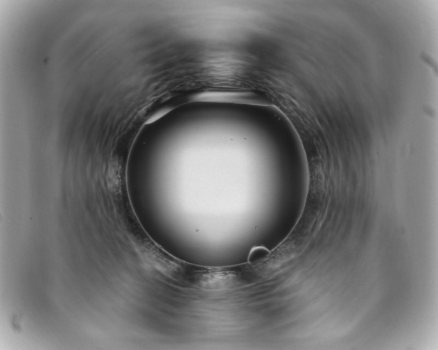 X0000094230274200710261302