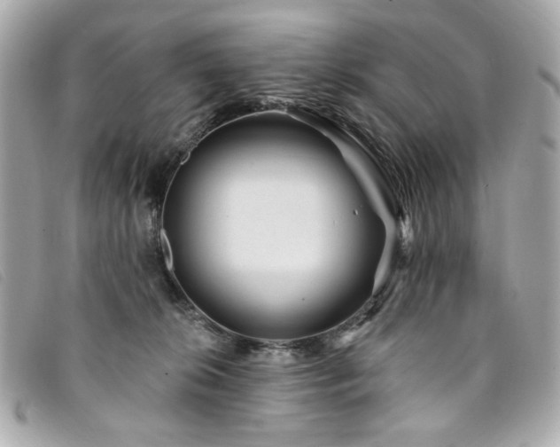 X0000094230276200710261302