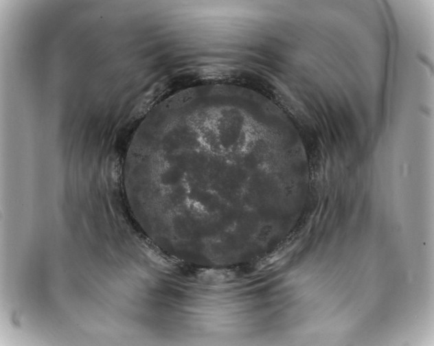 X0000094230277200710261302