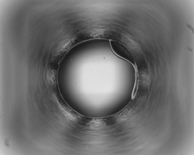 X0000094230280200710261302