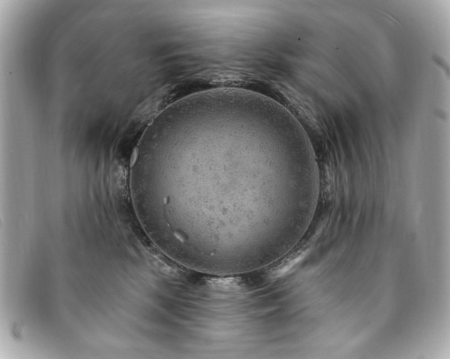 X0000094230281200710261302