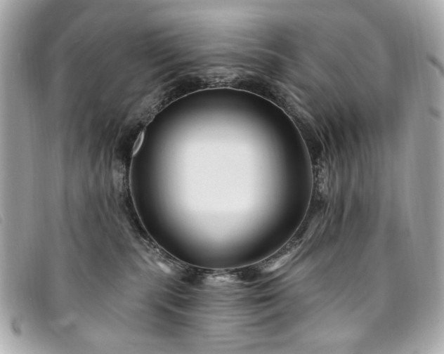 X0000094230283200710261302
