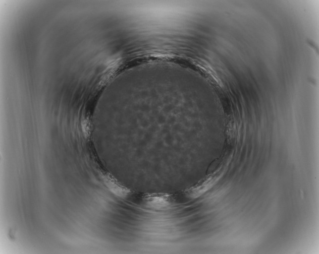 X0000094230285200710261302