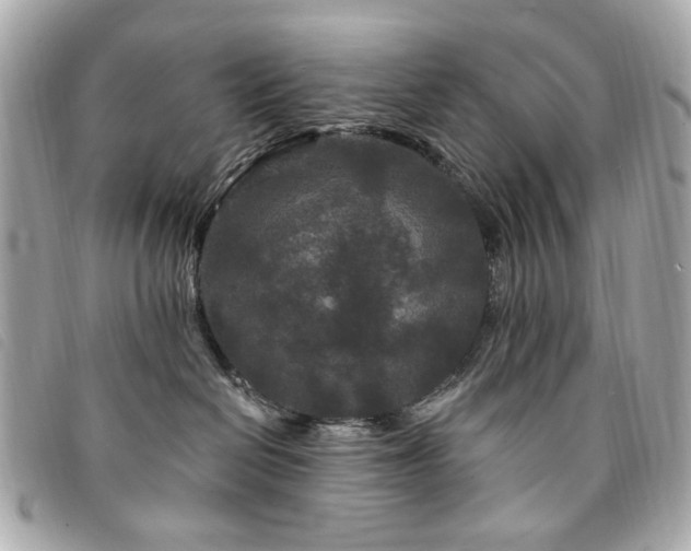X0000094230286200710261302