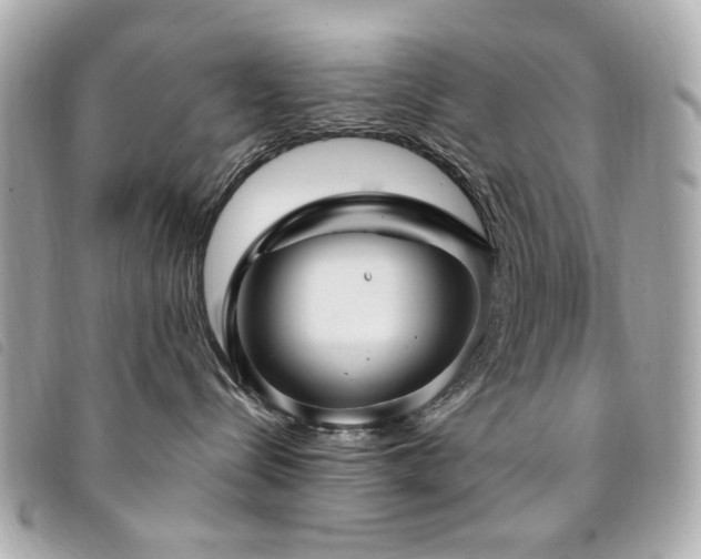 X0000094230288200710261302