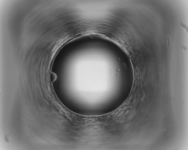 X0000094230289200710261301