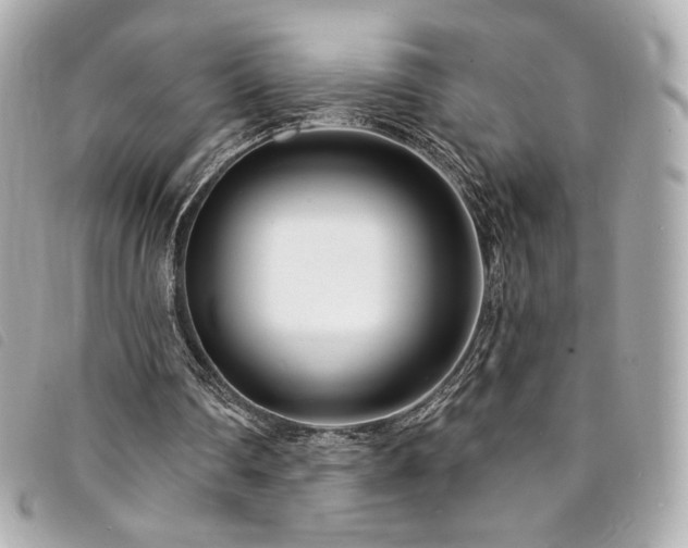 X0000094230290200710261301