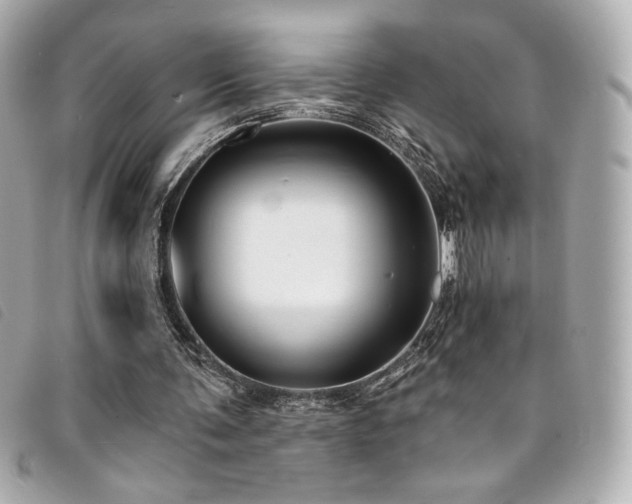 X0000094230291200710261301