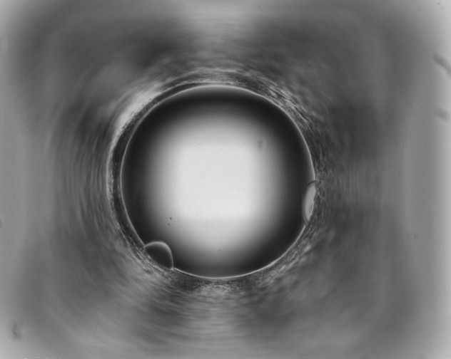 X0000094230294200710261301