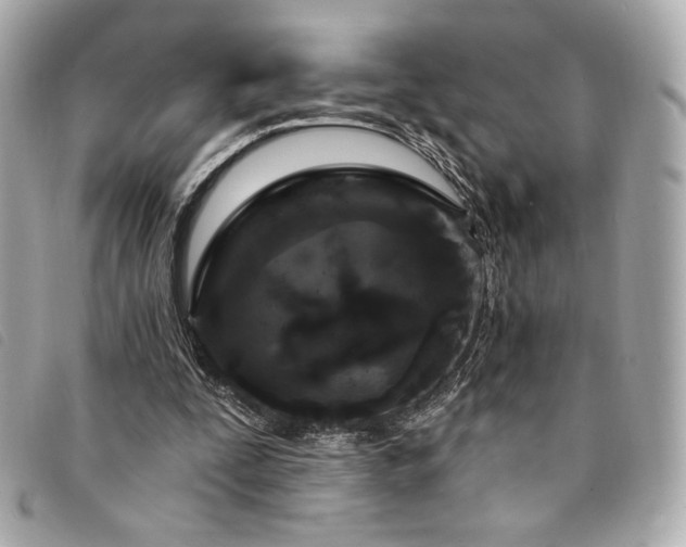 X0000094230295200710261301