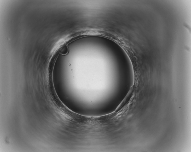 X0000094230296200710261301