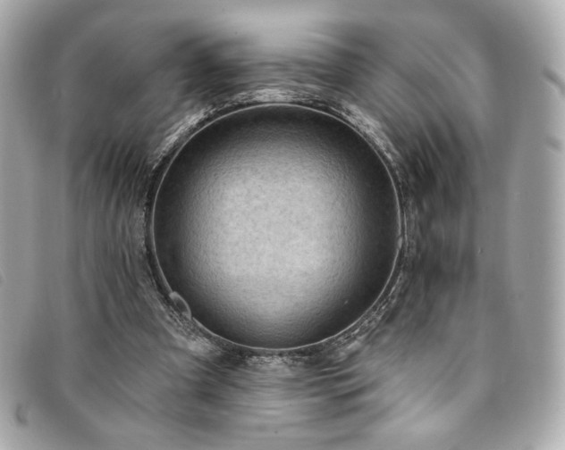 X0000094230297200710261301