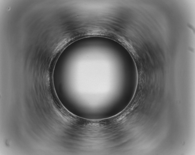X0000094230298200710261301