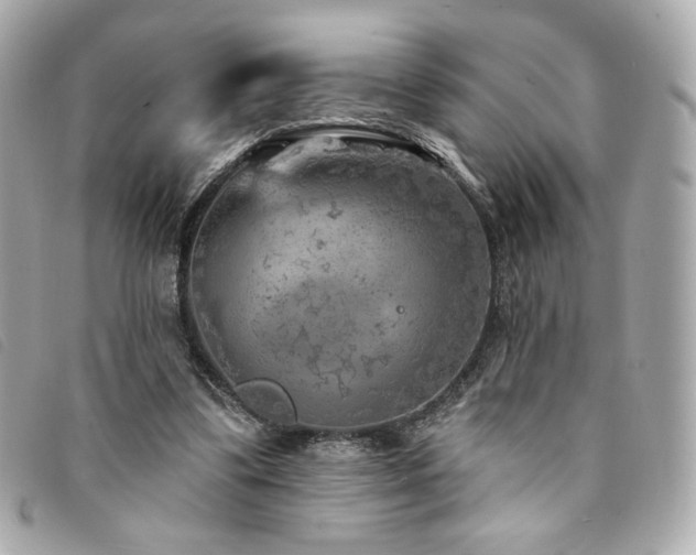 X0000094230299200710261301