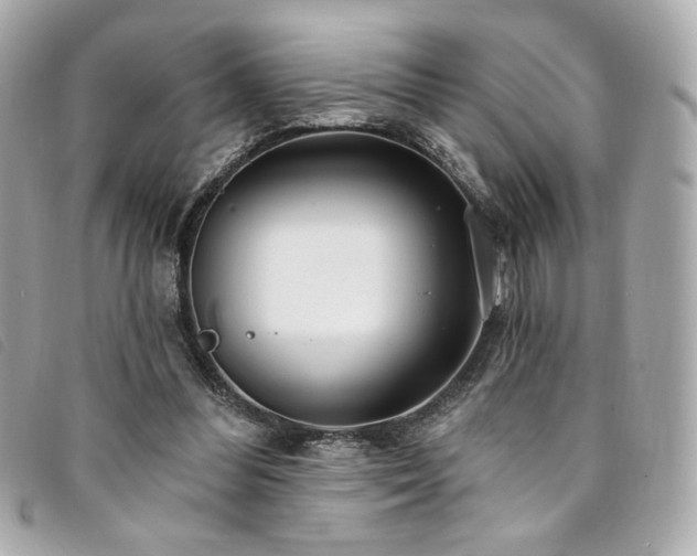 X0000094230300200710261301