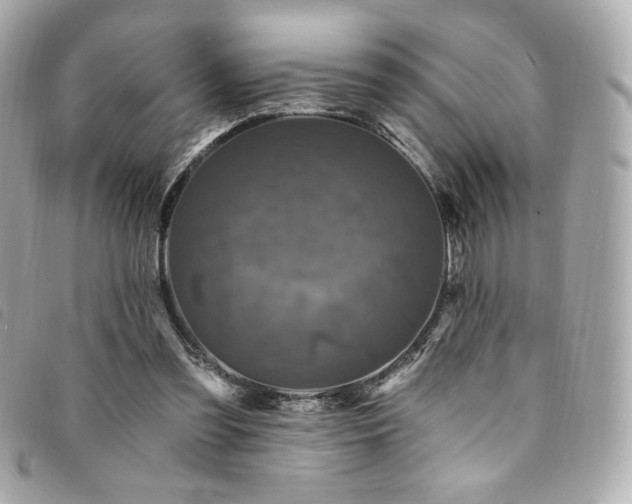 X0000094230301200710261301